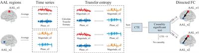 A new transfer entropy method for measuring directed connectivity from complex-valued fMRI data